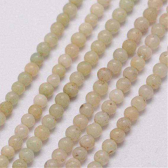 Brins de perles d'amazonite de fleurs naturelles, ronde