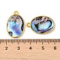 Natural Paua Shell Pendants, Oval Charms with Brass Findings