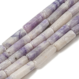 Natural Purple Turquoise Beads Strands, Column