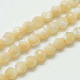 Chapelets de perles de coquillage naturel, facette, ronde, verge d'or pale, 3mm, Trou: 0.8mm