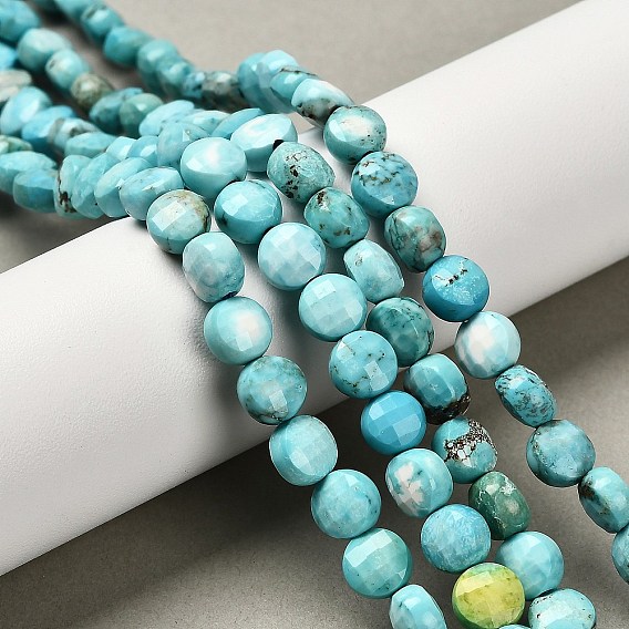 Природные Говлит бисер нитей, окрашенные, граненый квадратный разрез, плоско-круглые