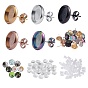 DIY Earrings Kits, Including Silicone Ear Nuts, Feather Pattern Flatback Half Round Glass Dome Cabochons,Transparent Glass Cabochons, and 304 Stainless Steel Stud Earring Settings