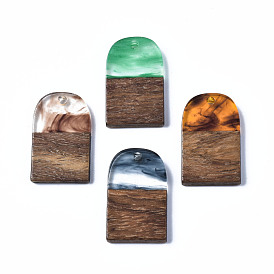 Transparent Resin & Walnut Wood Pendants, Two Tone, Half Oval