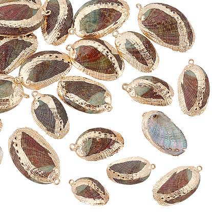 20шт. подвесок из натуральной раковины пауа с гальваническим покрытием, подвески в форме ракушки с фурнитурой из железа, золотой свет