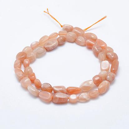 Natural Sunstone Beads Strands, Tumbled Stone, Nuggets