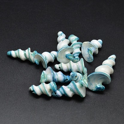 Natural Shell Nuggets Beads, 22~25x11~15mm, Hole: 1mm, about 140pcs/500g