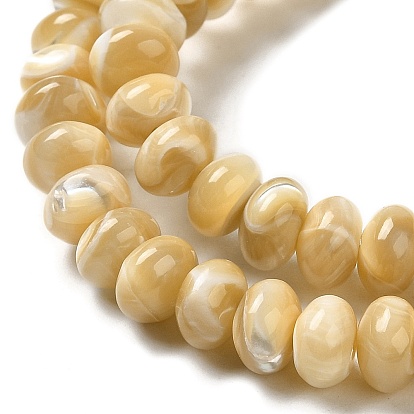 Natural Trochus Shell Beads Strands, Rondelle