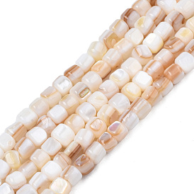 Natural Freshwater Shell Beads Strands, Column