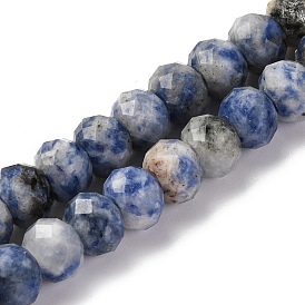 Natural Blue Spot Jasper Beads Strands, Faceted, Rondelle