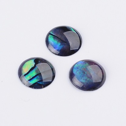 Natural Abalone Shell/Paua Shell Resin Cabochons, Half Round/Dome
