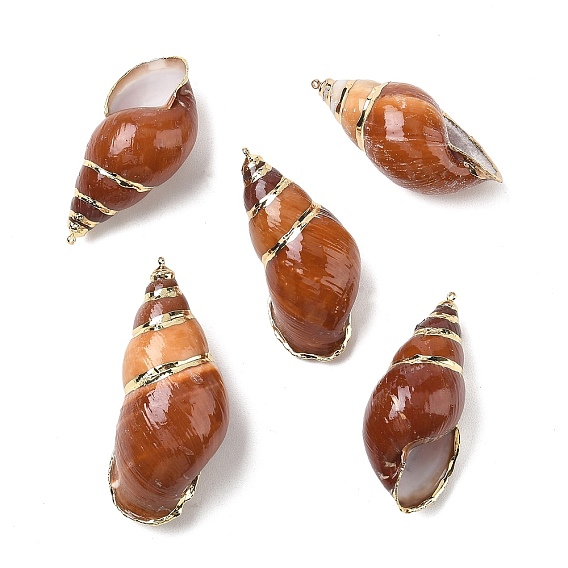 Grandes colgantes de concha de caracola espiral natural, la forma de la concha, con borde de latón dorado