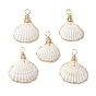 Подвески из натуральной ракушки, обмотанные медной проволокой, подвески в форме ракушек, серый