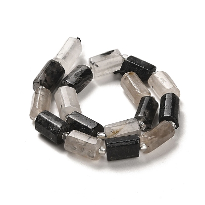 Natural Black Rutilated Quartz Beads Strands, with Seed Beads, Faceted, Column