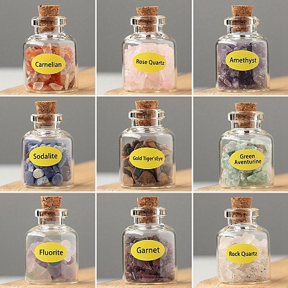 Mini Gemstone Chips Bottles Sets, Reiki Wicca Stones, for Energy Balancing Meditation Therapy