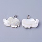 Shell Pendants, with Brass Findings, Animal
