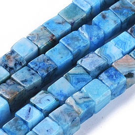 Natural Carzy Agate Beads Strands, Dyed, Cube