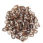 Natural Spiral Shell Beads, No Hole/Undrilled