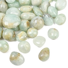Perles de prehnite naturelles, pierre tombée, nuggets, pas de trous / non percés, Pierres précieuses pour remplir les vases/non percées, gemmes de remplissage de vase