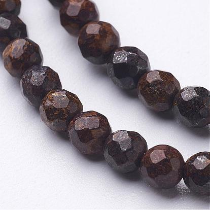 Natural Bronzite Bead Strands, Faceted(64 Facets), Round
