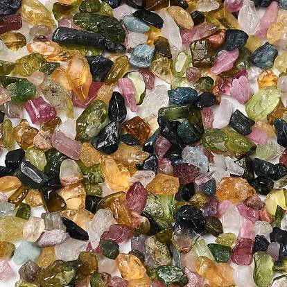 Натуральный турмалин чип бусины, нет отверстий / незавершенного, 2~8x2~4 мм, около 8500 шт / 500 г