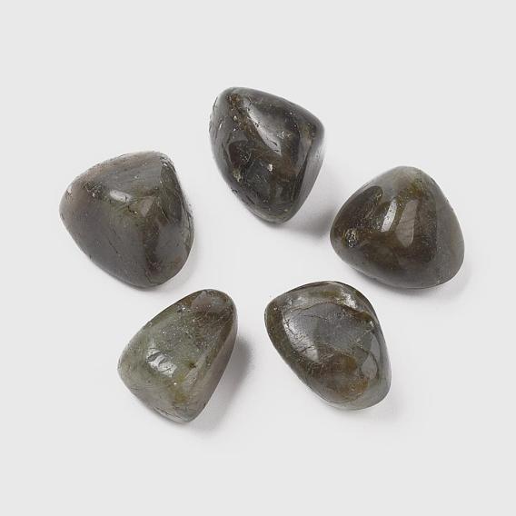 Natural Labradorite Beads, Healing Stones, for Energy Balancing Meditation Therapy, Tumbled Stone, Vase Filler Gems, No Hole/Undrilled, Nuggets