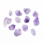 Rough Raw Natural Amethyst Beads, No Hole/Undrilled, Nuggets