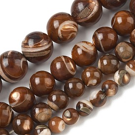 Natural Trochus Shell Beads Strands, Smooth Round