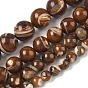 Natural Trochus Shell Beads Strands, Smooth Round