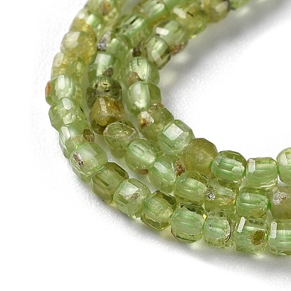 Natural Peridot Beads Strands, Grade AB, Faceted, Square