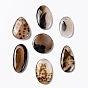 Natural Dendritic Agate Pendants, Flat Round & Oval & Teardrop