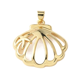 Латунные подвески, долговечный, без кадмия и без свинца, стойки покрытие, в форме ракушки с подвесками в виде морских звезд