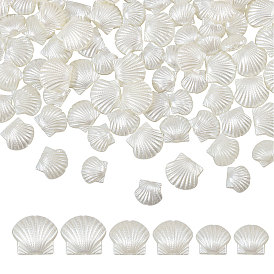 240шт. 3 стили перламутровых непрозрачных смоляных бусин, формы раковины