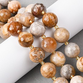 Природные окаменелые коралловые бусы пряди, граненые, круглые, с бисером