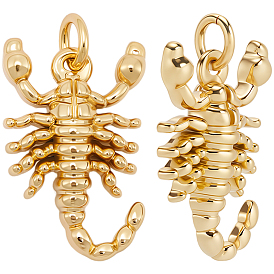 10шт. латунные подвески в виде скорпиона, с прыжковых колец, без кадмия, без никеля и без свинца