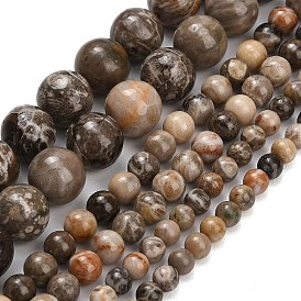 Natural Fossil Coral Beads Strands, Smooth Round