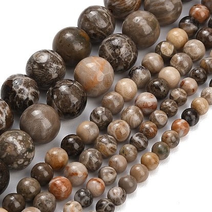 Natural Fossil Coral Beads Strands, Smooth Round