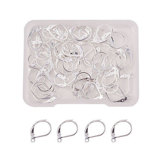 304 Stainless Steel Leverback Earring Findings, with Loop
