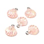 Translucent Resin Pendants, with Sequins and Platinum Tone Iron Loops, Shell Charm