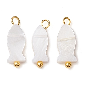 Natural Freshwater Shell Fish Charms, with Brass Loops