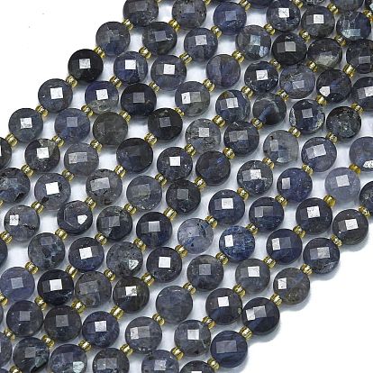 Природные иолит нитей бисера, с бисером, граненые, плоско-круглые