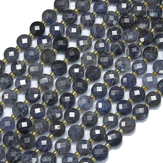 Природные иолит нитей бисера, с бисером, граненые, плоско-круглые