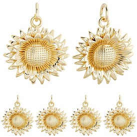 10 латунные подвески шт., прелести подсолнуха, без свинца и без кадмия, стойки покрытие, долговечный, с целью перехода в кольце