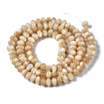 Natural Trochid Shell/Trochus Shell Beads Strands, Rondelle