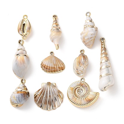 Подвески из непрозрачного акрила с золотым краем, форма раковины/ракушки