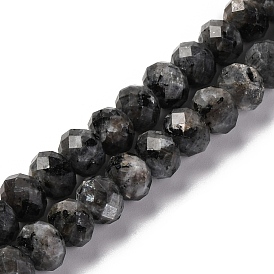 Natural Larvikite Beads Strands, Faceted, Rondelle