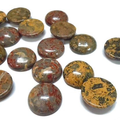 Натуральной кожи леопарда кабошонов, полукруглые / купольные, красочный, 20x5 мм