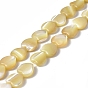 Natural Trochid Shell/Trochus Shell Beads Strands, Heart