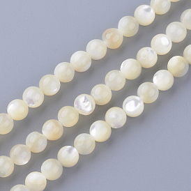 Natural Sea Shell Bead Strands, Round