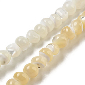 Brins de perles de coquillages naturels de troca, ronde