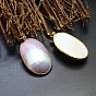 Natural Shell Pendants, Flat Back Oval Charms with Golden Tone Brass Findings